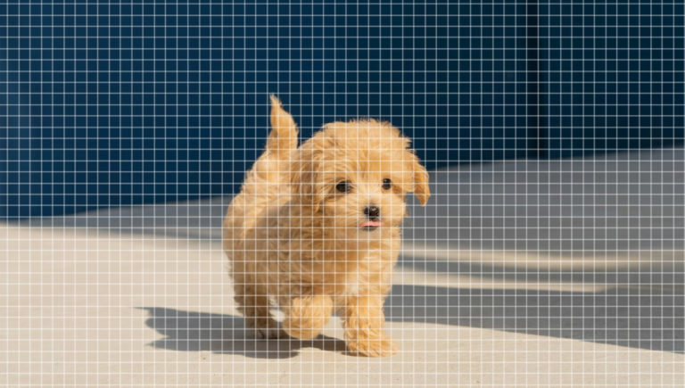 How to Create a Grid Watermark in Photoshop - altutorials